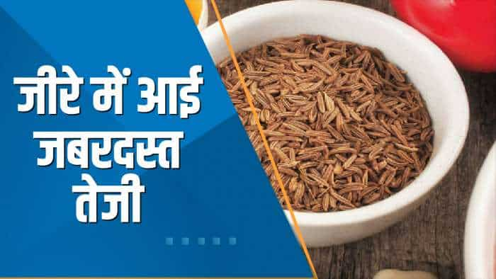 Commodities Live: NCDEX Jeera वायदा ₹29,600 के पार निकला | Jeera Price | Agri Commodity