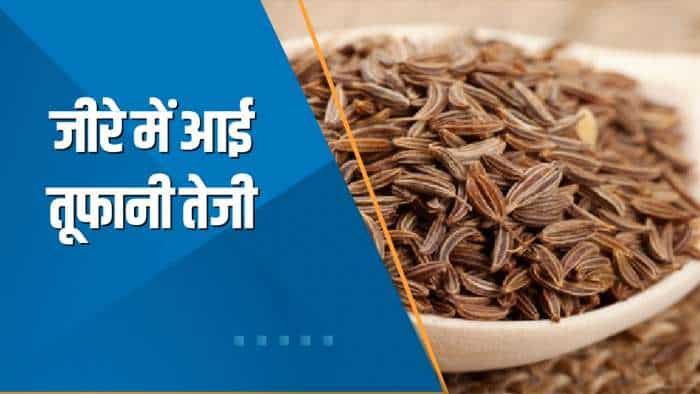 Commodities Live: NCDEX पर Jeera वायदा ₹30,300 के पार निकला | Jeera Price | Agri Commodity