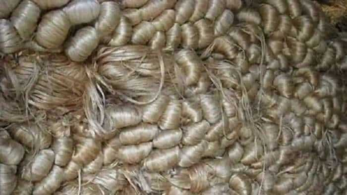 The mandatory jute packaging deadline for the companies Extended again till 31 march 2023 ministry of textiles issued a notification check detail