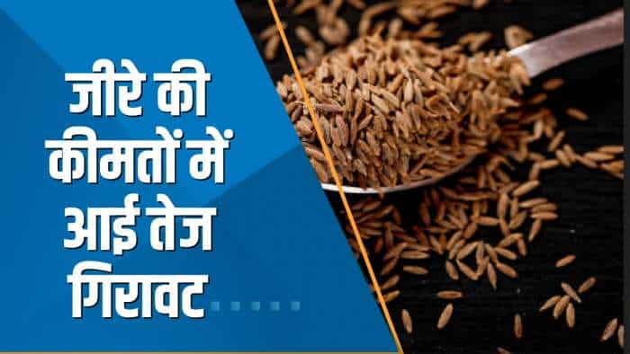 Commodities Live: आज NCDEX पर जीरे का भाव ₹900 लुढ़का, जानिए क्या है इस गिरावट की वजह?