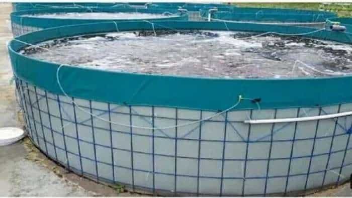 business idea bihar sarkar giving chance to start biofloc fish farming and earns more