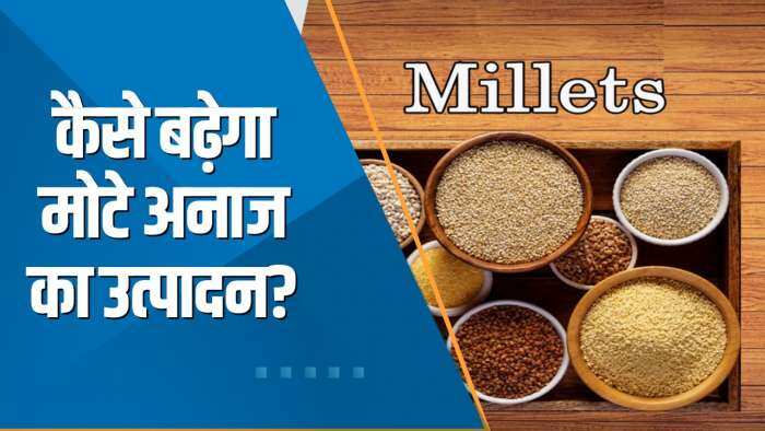 Commodity Special Show: UN ने 2023 को 'International Year of Millets' घोषित किया, कैसे बढ़ेगा मोटे अनाज का उत्पादन?