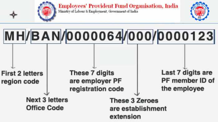 EPF Account establishment member ID- How to check company code in EPFO registration, 7 steps to follow