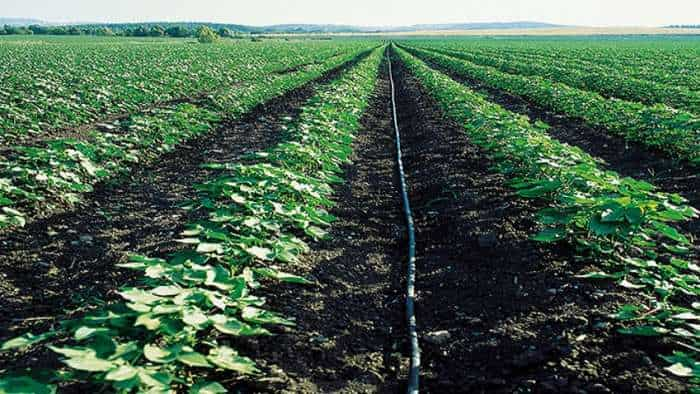 pmksy bihar sarkar giving 90 percent subsidy to farmers under Micro Irrigation Scheme