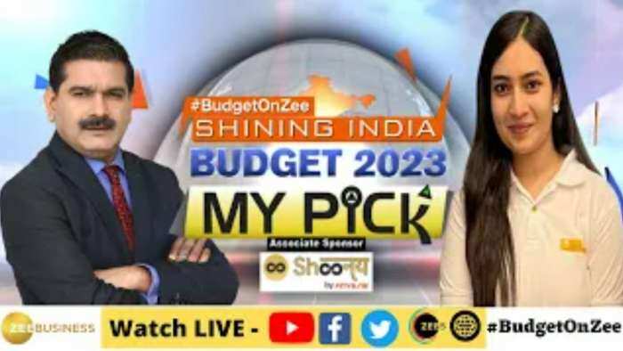 Budget My Pick: बजट 2023 से पहले शिवांगी सारदा ने Rallis India में क्यों दी निवेश की सलाह?