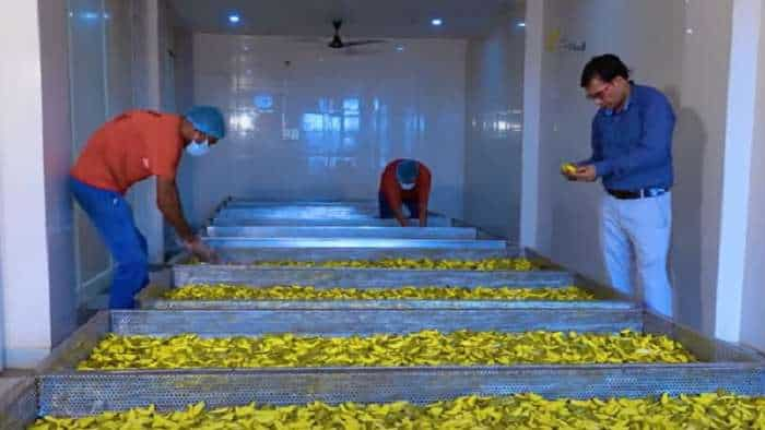 start food processing business with help of horticulture department haryana and earns in lakhs