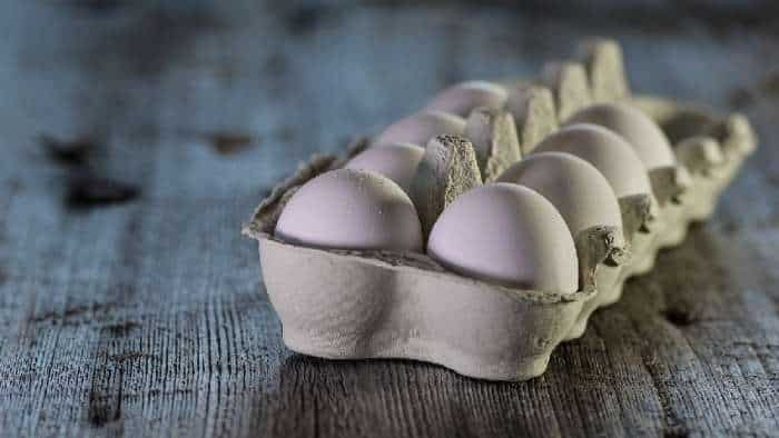 Egg price touched record level as egg exports rise check full details