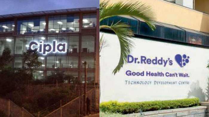 q3 results of cipla and dr reddys today in share market both companies profit rose here you know details