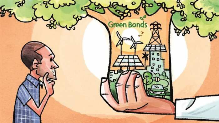 Sovereign Green Bonds: indian government issued first time if you want to invest know benefits