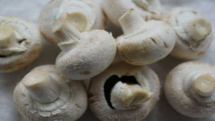 mushroom farming bihar government start mushroom hut farming and earns in lakhs check full details