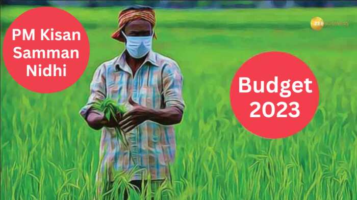 Union Budget 2023: PM Kisan Samman Nidhi Yojana installment latest news finance minister nirmala sitharaman to give farmers 4 installment of Rs 8000 new update