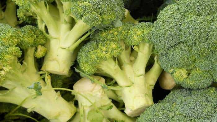 Broccoli ki kheti Cultivate broccoli scientifically get bumper production and earn more