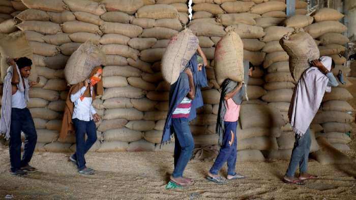 Sale of second phase of wheat will start on February 15 FCI issued important information for bidders