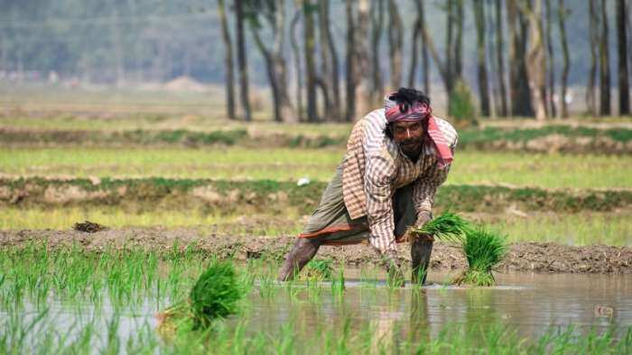 PM KISAN no proposal at present to increase amount under pm kisan agriculture minister Narendra Singh Tomar in lok sabha pm kisan latest update