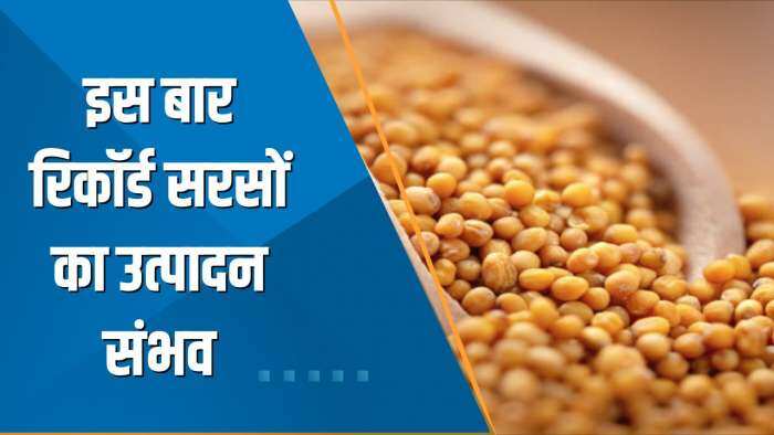 Commodities Live: इस साल सरसों का होगा रिकॉर्ड उत्पादन, 115 लाख टन होने का अनुमान