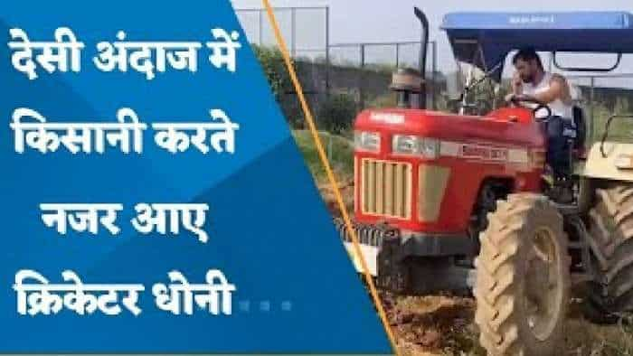 देसी अंदाज में किसानी करते नजर आए MS Dhoni, खेत में चलाया Tractor, वीडियो हुआ वायरल