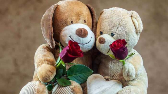 Valentines week Special Teddy Day 2023 know interesting history of teddy bear related to 26th president of america theodore roosevelt famous as teddy