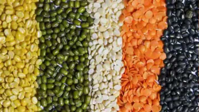 World Pulses Day 2023 significance benefits of lentils protein in daal arhar moong masoor chana and urad 