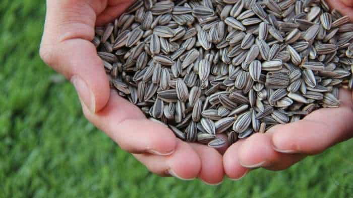 bihar government garma crop seed distribution program start from 15 February to 5 March 2023 check details