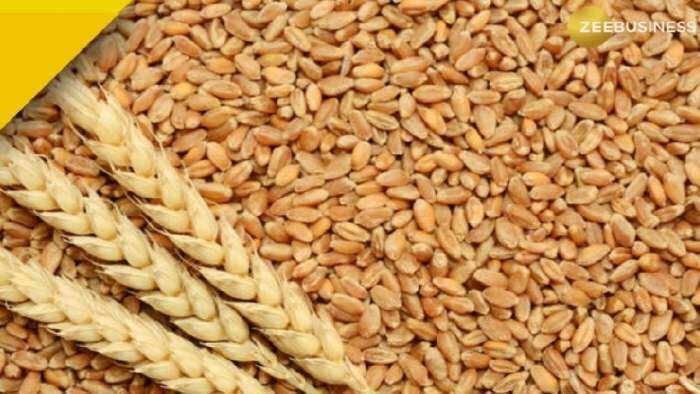 Piyush Goyal says FCI to open more procurement centres also sell more wheat in open market to cool whear prices