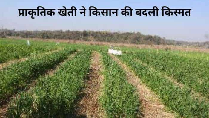 natural farming young farmer start prakritik kheti and earn rs 4 lakh with investment of rs 15000 check details