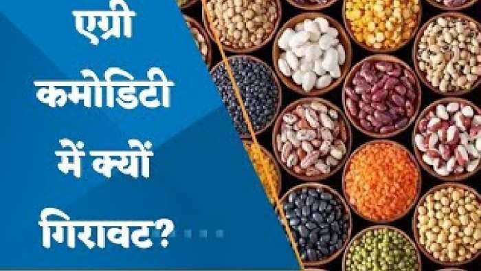 क्यों Agri Commodities के दाम घटे? जानिए पूरी डिटेल्स यहां