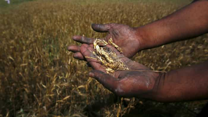 Crops on 85538 20 hectares of land destroyed due to less rains in Himachal Pradesh loss of ₹9462 lakh in 10 districts