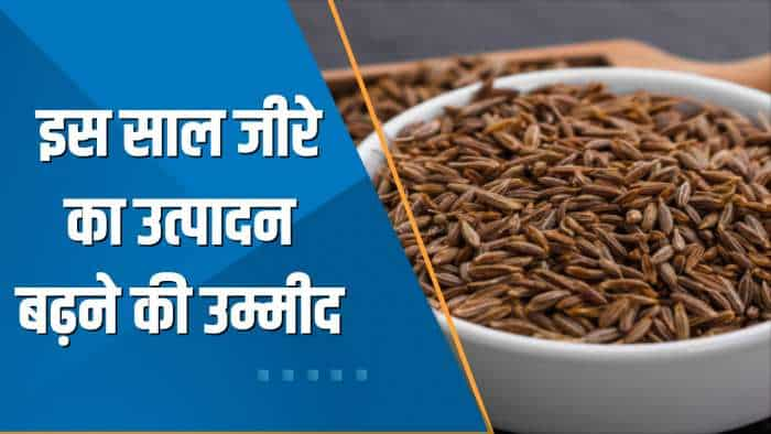 Commodities Live: इस साल जीरे का उत्पादन 28% बढ़ने की उम्मीद, FISS ने जारी की रिपोर्ट