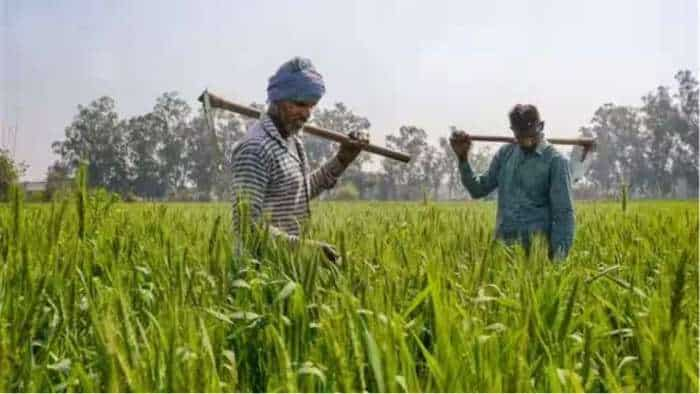 Punjab Bhagwant Mann government give big relief to farmers freezes repayment of loans taken by farmers from cooperatives