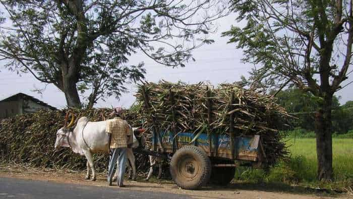 Yogi Government Uttar Pradesh To Ensure Sugarcane Farmers Are Paid Dues Within Week