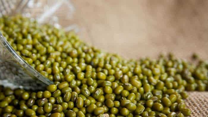 good news Haryana government provides 75 percent subsidy on Moong Seed register till 10 April 2023 check details