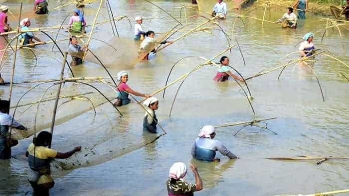 Andhra Pradesh Bans Marine Fishing For 2 Months Amid Annual Breeding Season