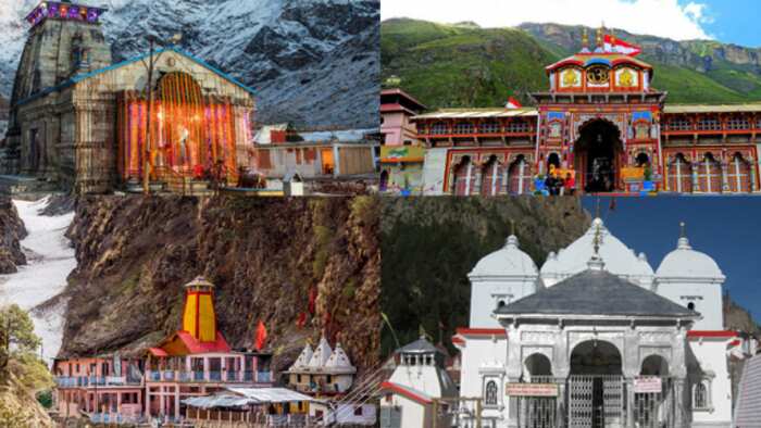 Uttarakhand chardham yatra 2023 start from 22 april govt instructions for horse mule operators licence will be cancelled on passengers complain