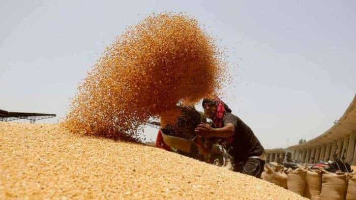 Governments wheat procurement down 18 percent at 41 lakh tonne arrivals in mandis improving