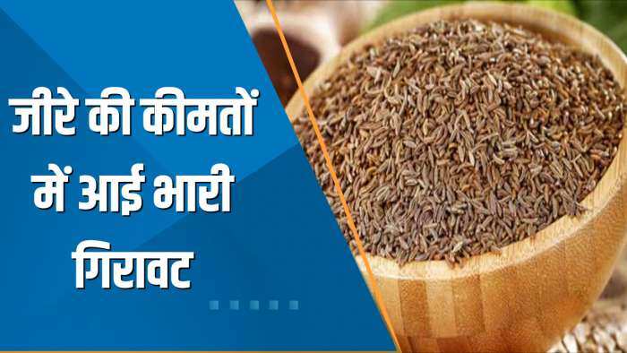 Commodity Superfast: जीरे की कीमतों में आई भारी गिरावट; NCDEX  पर भाव ₹40,200 के नीचे लुढ़का