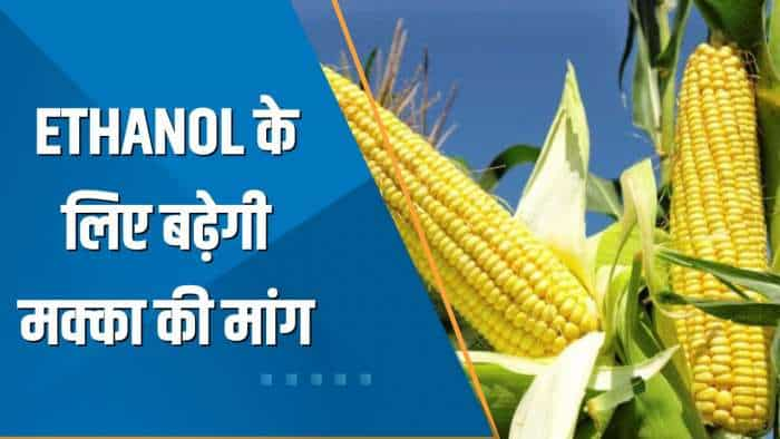 Commodities Live: Ethanol के लिए बढ़ेगी मक्का की मांग, 5 सालों में 4.5 करोड़ टन बढ़ाना होगा उत्पादन