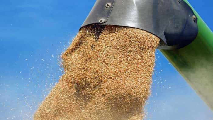 Wheat purchase in Punjab expected to be higher at 120 lakh MT despite inclement weather