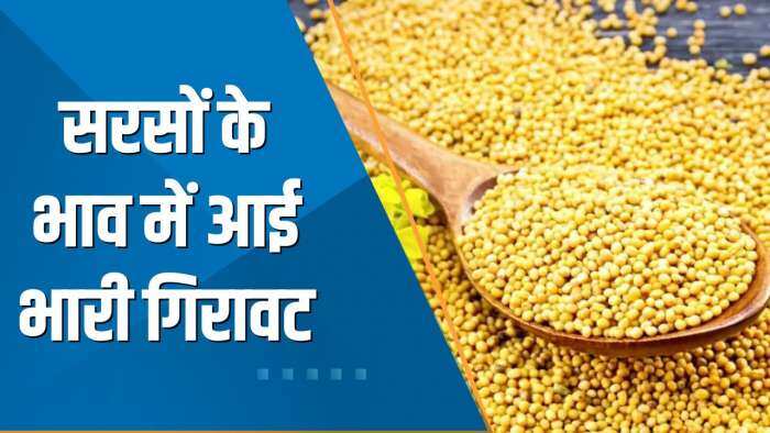 Commodities Live: सरसों का भाव MSP से नीचे गिरा; जानिए क्या हैं ट्रिगर्स | Agri Commodity