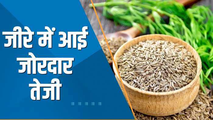 Commodity Superfast: जीरे में आई जोरदार तेजी; NCDEX पर Jeera वायदा ₹43,000 के पार निकला