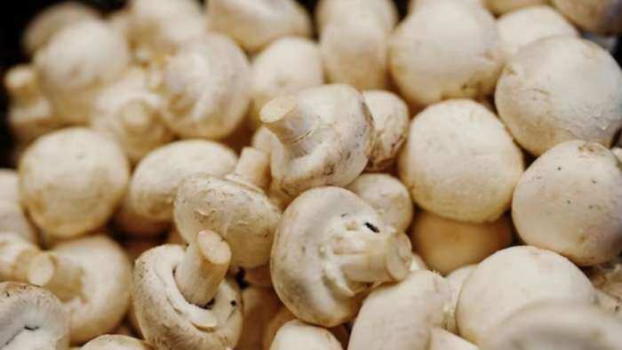 Mushroom Cultivation earn money from mushroom farming bihar sarkar giving 50 percent subsidy check details