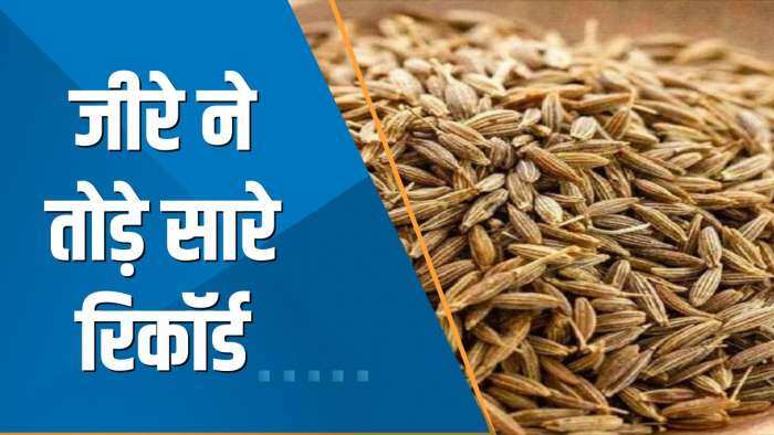 Commodity Superfast: जीरे ने एक बार फिर बनाया नया रिकॉर्ड; NCDEX पर Jeera 4% से ज्यादा उछला