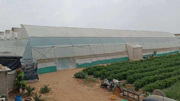 government schemes rajasthan government giving 95 percent subsidy for green house and shade net check details