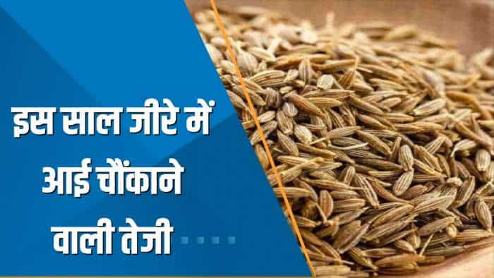 Commodity Special: जीरे में चौंकाने वाली तेजी; 6 महीने में भाव दोगुने, 2 महीने में Jeera 52% उछला