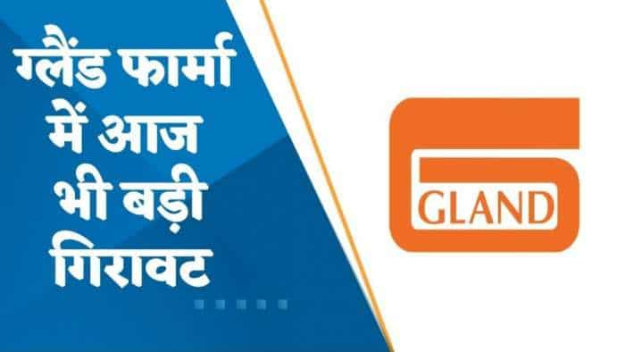 करीब 18% गिरा Gland Pharma; क्या हैं शेयर में गिरावट के कारण? जानिए यहां