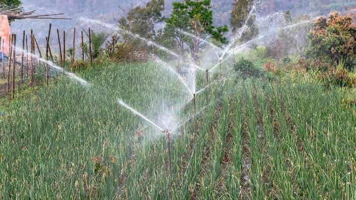 PMKSY bihar sarkar giving 90 percent subsidy to farmers for drip and sprinkler irrigation