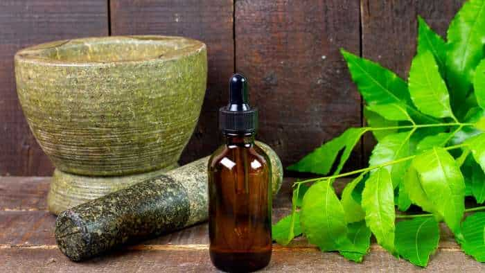 bureau of indian standards notifies 31 indian standards related to ayush herbs and products