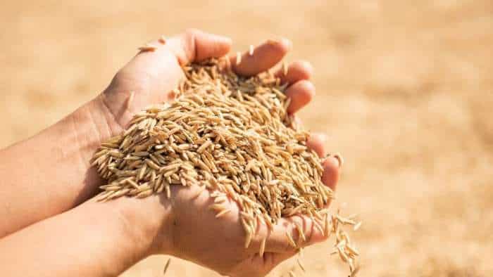 bihar government to give seeds of these crops to the farmers for free know full details