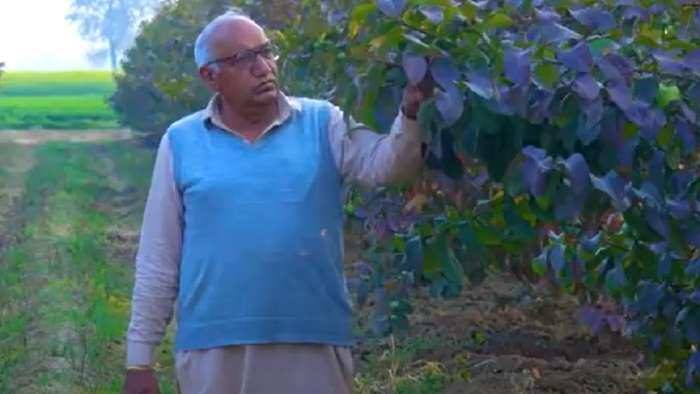 Success story of a progressive farmer kripa ram start guava cultivation now earn over rs 25 lakh annually know details