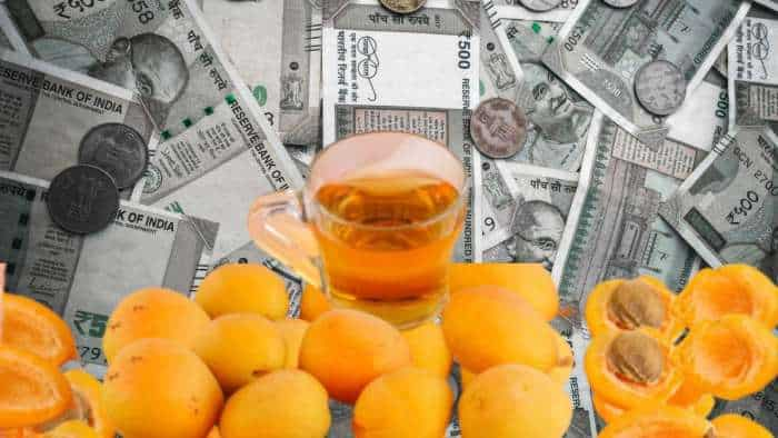 Business Idea start Apricot oil processing unit with investment of rs 1 lakh and earn 60000 rupees per month check details