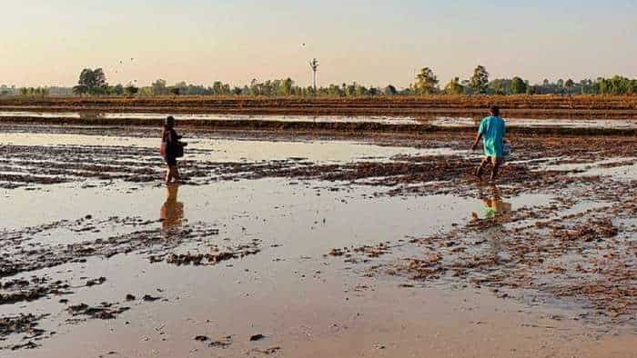 bihar government to give free electric connection to farmers for paddy kharif crop irrigation